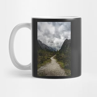 Track In between of Epic Mountains in New Zealand Mug